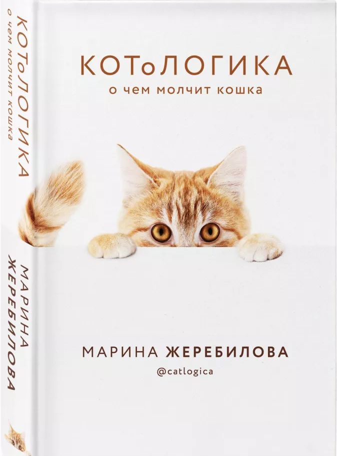Кот в доме хозяин? Лучшие книги о кошках - Жизнь в Москве - МОЛНЕТ.RU