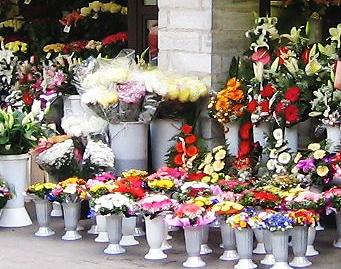 Закупаем цветы в москве где в москве купить кашпо для цветов