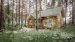 Новые правила строительства домов в лесу в Подмосковье