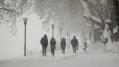 Наступающие циклоны принесут в Москву пятидневные снегопады