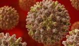 Эксперт выдвинул гипотезу: появление у детей гепатита неизвестной природы вызвано вирусом