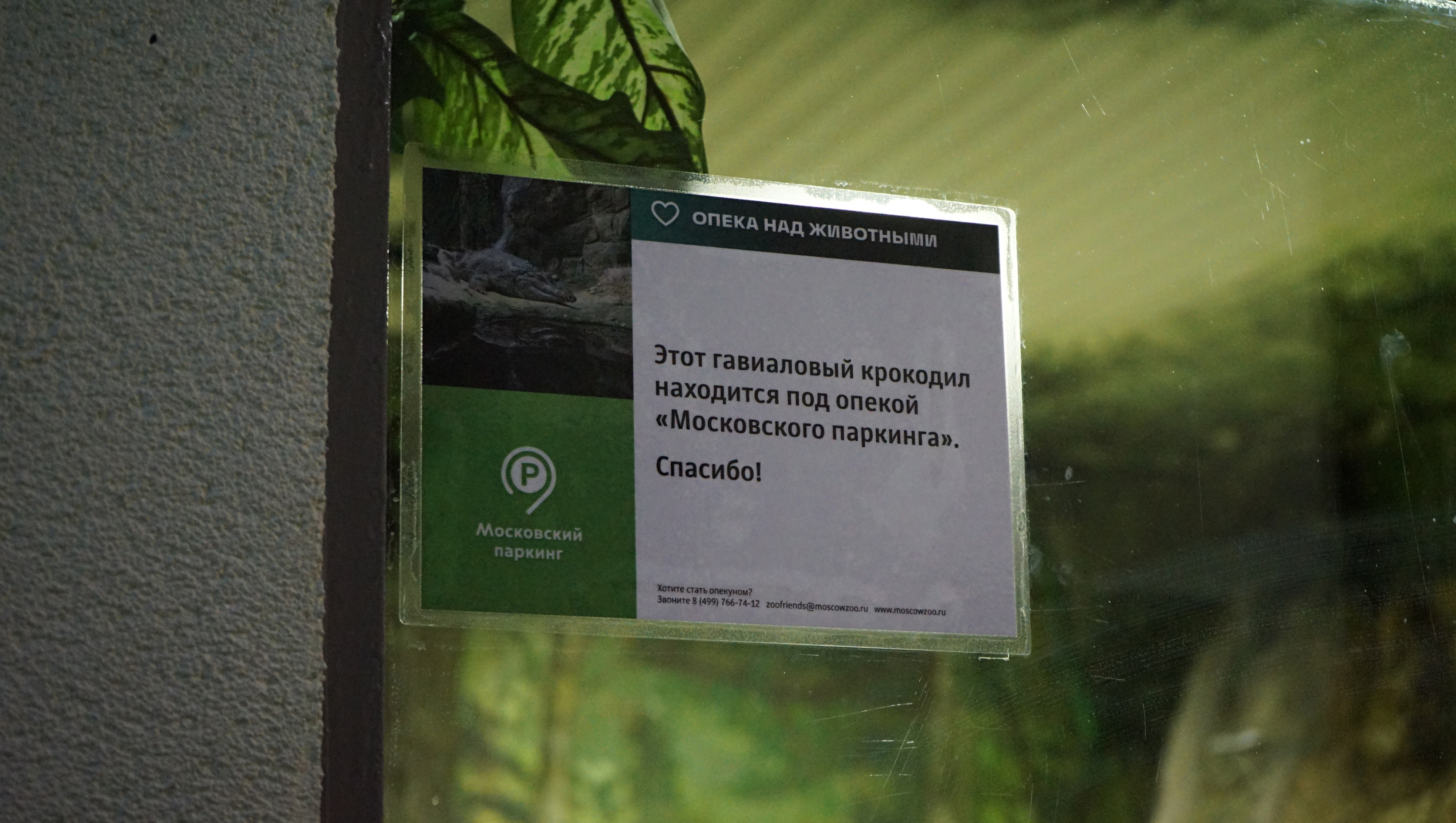 московский зоопарк крокодилов