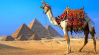 Почему стоит ехать на отдых в Египет