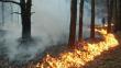 С начала апреля зафиксировано 12 пожаров в подмосковных лесах