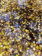 ������ 16 �������: �������, ����� � �� +7 ��������